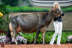 A107166-29247 A107166-29247