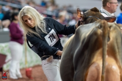 A107187-29251 A107187-29251