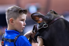 2A9A9732-29052 2A9A9732-29052