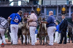 2A9A9737-29053 2A9A9737-29053