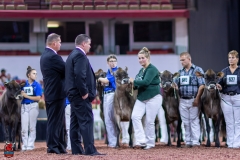 2A9A9742-29055 2A9A9742-29055