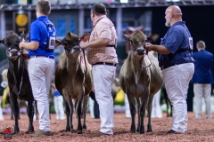 2A9A9749-29056 2A9A9749-29056