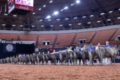 2A9A9765-29058 2A9A9765-29058