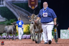 2A9A9773-29059 2A9A9773-29059