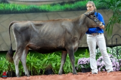 A103502-29037 A103502-29037