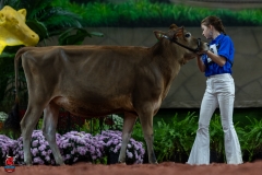 A103518-29039 A103518-29039