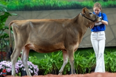 A103525-29040 A103525-29040