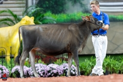 A103529-29041 A103529-29041