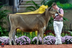 A103533-29042 A103533-29042