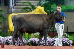 A103539-29043 A103539-29043