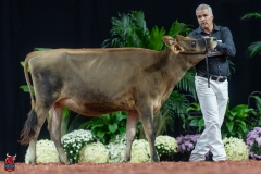 A103542-29044 A103542-29044