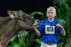 A103547-29045 A103547-29045