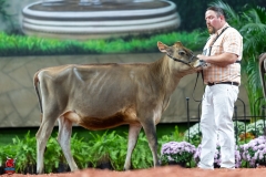 A103549-29046 A103549-29046