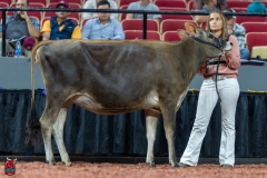 A103556-29048 A103556-29048