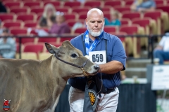 A103558-29050 A103558-29050