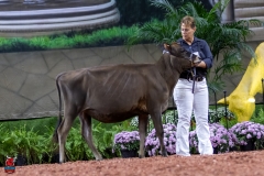 2A9A9477-28902 2A9A9477-28902