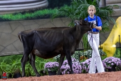 2A9A9482-28903 2A9A9482-28903