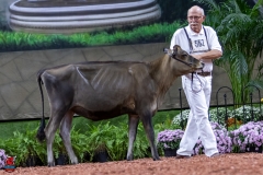 2A9A9487-28904 2A9A9487-28904