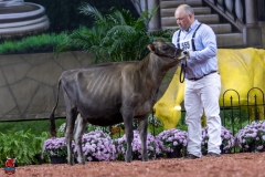 2A9A9490-28905 2A9A9490-28905