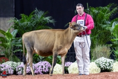 2A9A9496-28906 2A9A9496-28906