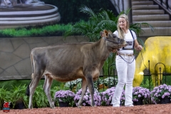 2A9A9499-28907 2A9A9499-28907