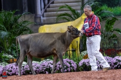 2A9A9501-28908 2A9A9501-28908