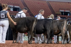 2A9A9513-28909 2A9A9513-28909