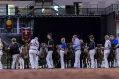 2A9A9518-28910 2A9A9518-28910