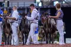 2A9A9521-28911 2A9A9521-28911