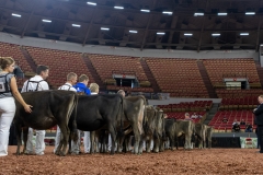 2A9A9524-28912 2A9A9524-28912