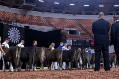 2A9A9534-28913 2A9A9534-28913