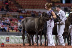 2A9A9542-28915 2A9A9542-28915