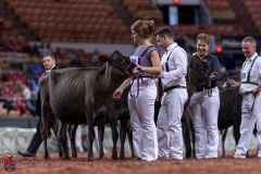 2A9A9545-28916 2A9A9545-28916