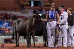 2A9A9552-28917 2A9A9552-28917