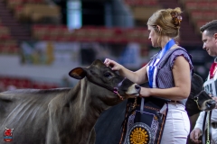 2A9A9553-28918 2A9A9553-28918