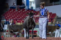 2A9A9556-28919 2A9A9556-28919