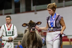 2A9A9558-28920 2A9A9558-28920