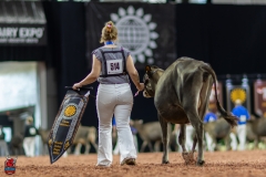 2A9A9561-28922 2A9A9561-28922