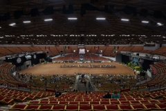 DSC09737-28924 DSC09737-28924