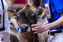 2A9A9314-28867 2A9A9314-28867