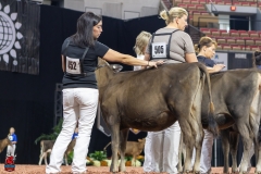 2A9A9337-28868 2A9A9337-28868