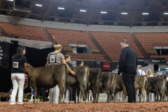 2A9A9339-28869 2A9A9339-28869