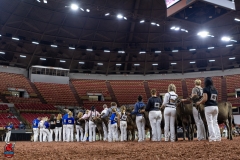 2A9A9341-28870 2A9A9341-28870