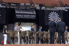 2A9A9363-28872 2A9A9363-28872