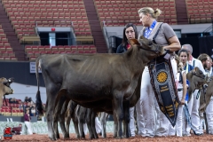 2A9A9375-28873 2A9A9375-28873