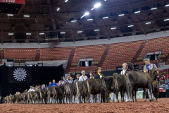 2A9A9379-28874 2A9A9379-28874