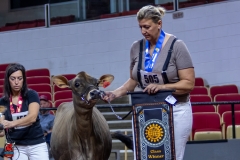 2A9A9389-28875 2A9A9389-28875