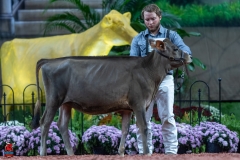 A103127-28854 A103127-28854