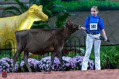 A103145-28856 A103145-28856