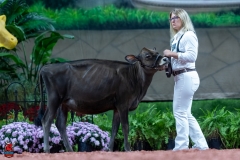 A103159-28857 A103159-28857